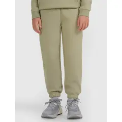 4F spodnie chłopięce z miękkim meszkiem wewnątrz z haftem