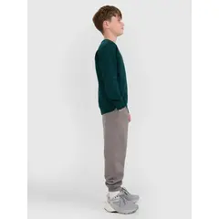 4F bluza dresowa chłopięca bez kaptura 4FWAW25TSWSM1960 zielony