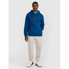 4F bluza dresowa męska z kapturem 4FWMM00TSWSM1766 zielony