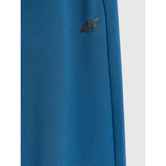 4F spodnie męskie z dzianiny french terry z kolekcji basic